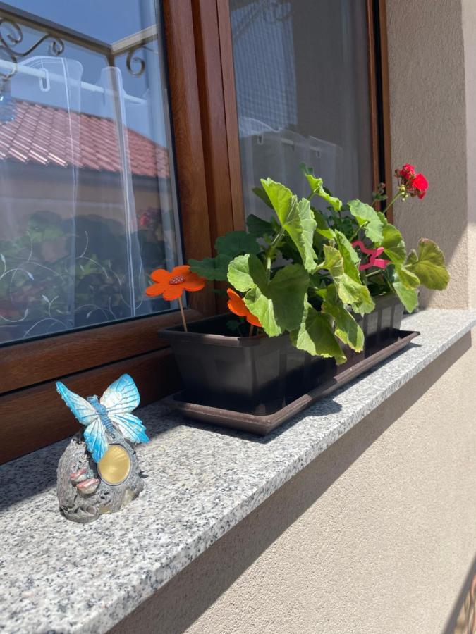 Benige Vendeghaz Hotel Demjén Eksteriør billede